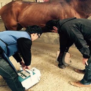 便攜式動物DR數字系統