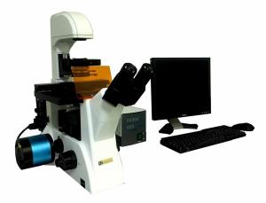 倒置熒光顯微鏡代理 倒置熒光顯微鏡XDY-2 倒置熒光顯微鏡報價