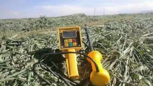 進口牧草水分檢測儀燕麥草水分測定儀